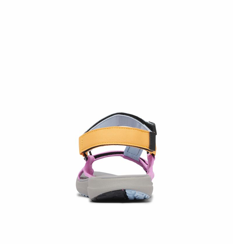 2068371_477_b_tt